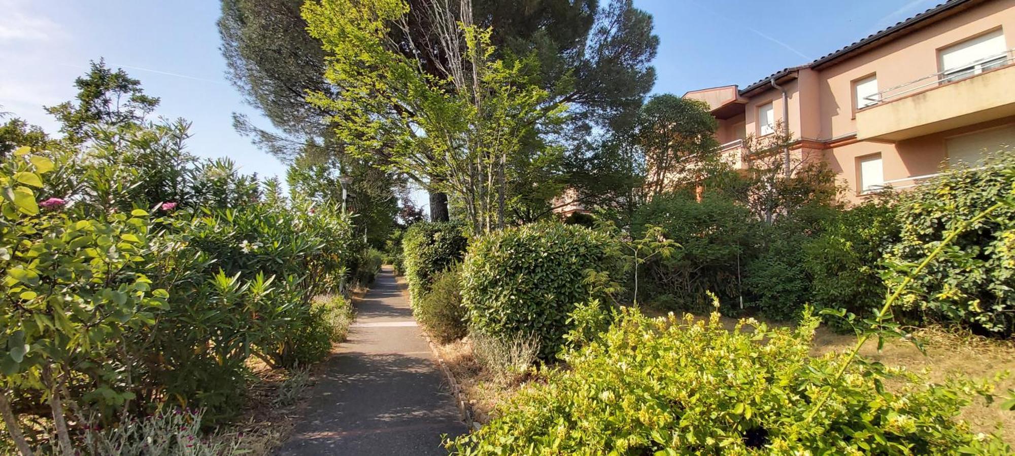 Appartement Les Elfes - avec parking&jardin privé ! à Toulouse Extérieur photo